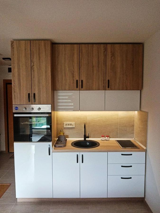 Studio Apartman Gorski Kristal 즐라티보 외부 사진